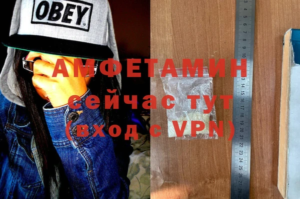 ешки Горняк