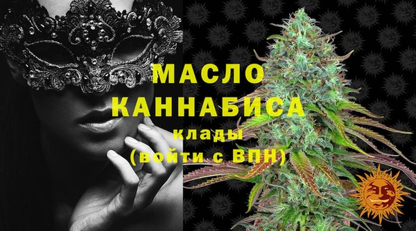 ешки Горняк