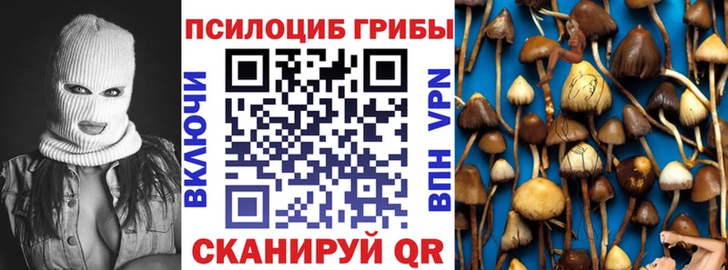 Псилоцибиновые грибы прущие грибы  даркнет сайт  Джанкой 