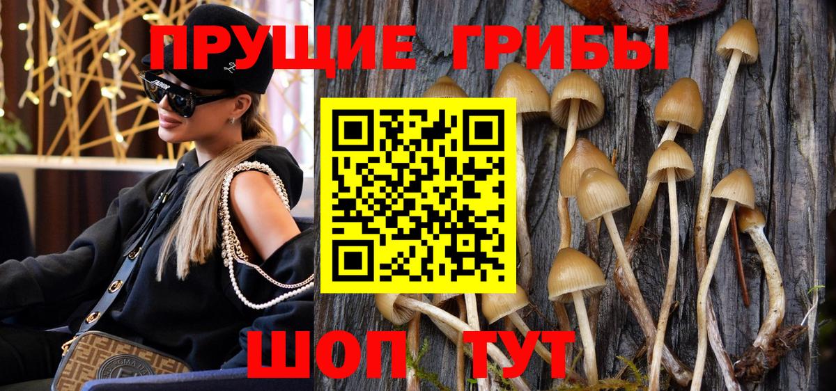 Галлюциногенные грибы Psilocybine cubensis Джанкой